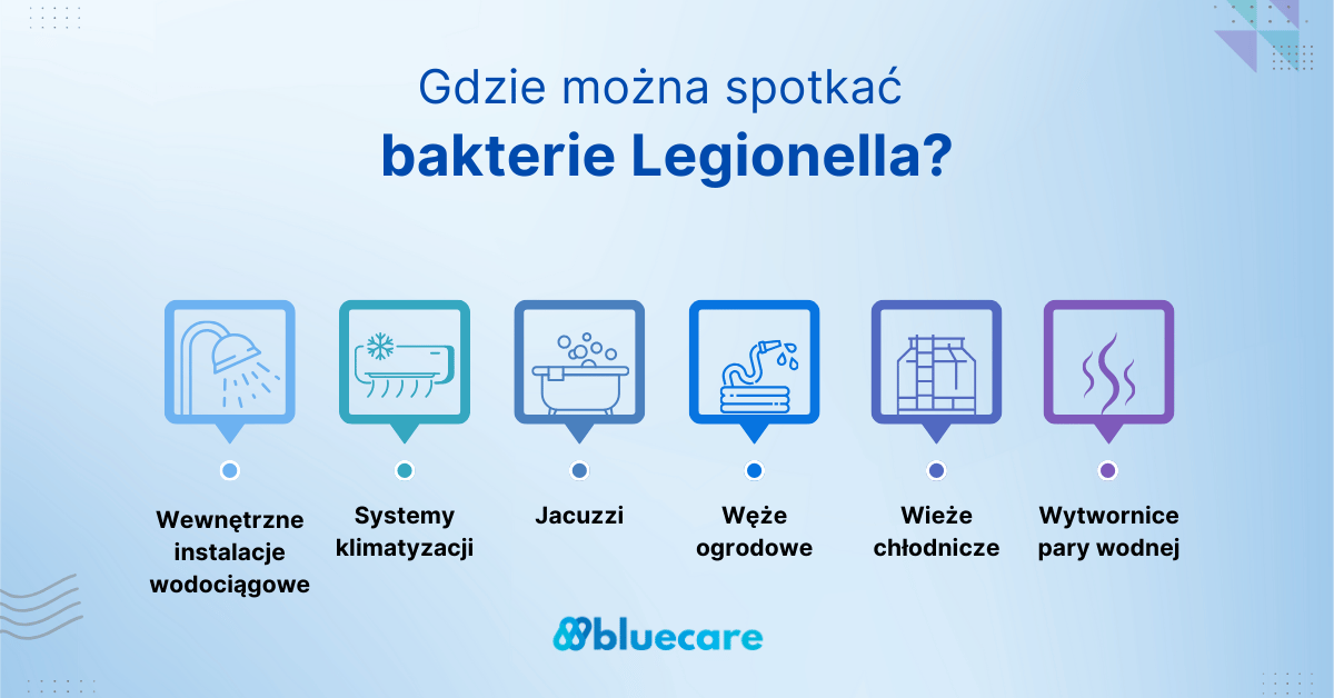 Infografika: Gdzie można się zarazić Legionellą?